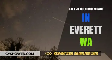 Everett WA Meteor Shower Viewing Guide: Tips and Best Spots