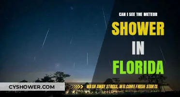 Florida's Night Sky: Spotting the Meteor Shower in the Sunshine State