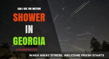 Georgia's Night Sky: How to Spot the Meteor Shower