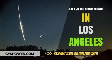 Los Angeles Meteor Shower Viewing: Tips for Urban Skywatchers