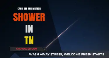 Meteor Shower Viewing Tips for Tennessee Skywatchers This Season