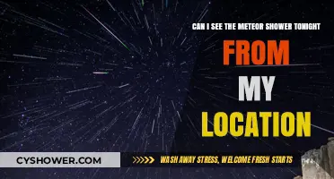 Meteor Shower Tonight: Visibility Tips for Your Location