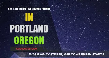 Portland Meteor Shower Tonight: Visibility Guide for Oregon Stargazers