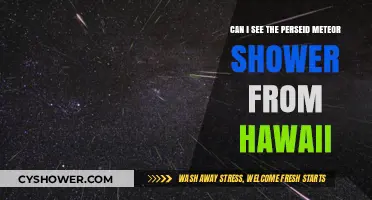 Hawaii's Perseid Meteor Shower Visibility: A Celestial Guide