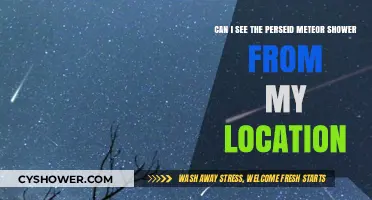 Viewing the Perseid Meteor Shower: Location Tips and Visibility Guide