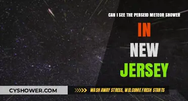 Viewing the Perseid Meteor Shower in New Jersey: Tips and Locations