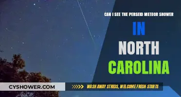Viewing the Perseid Meteor Shower in North Carolina: Tips and Locations