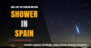 Perseid Meteor Shower in Spain: Where and When to Watch