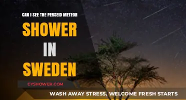 Viewing the Perseid Meteor Shower in Sweden: Tips and Locations