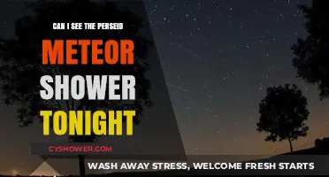 Perseid Meteor Shower Tonight: Visibility Tips and Peak Times