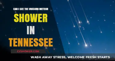 Spotting the Unicorn Meteor Shower in Tennessee: Tips and Timing