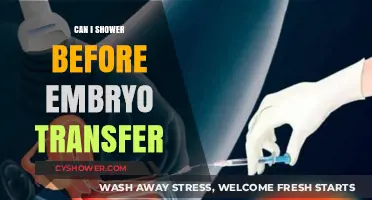 Showering Before Embryo Transfer: Safe or Risky? Expert Advice