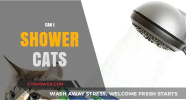 Can You Shower Cats? Tips for Bathing Your Feline Friend