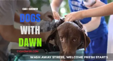 Is Dawn Dish Soap Safe for Bathing Your Dog?