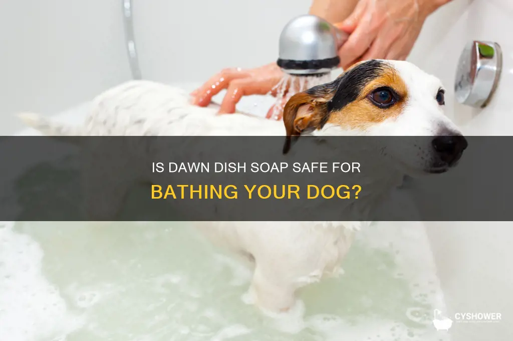 can i shower dogs with dawn