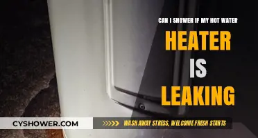 Showering Safely: What to Do When Your Hot Water Heater Leaks
