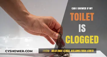 Showering Safely: What to Do When Your Toilet is Clogged