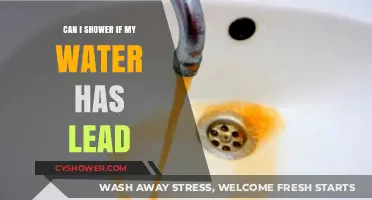 Is It Safe to Shower in Water Containing Lead? Find Out