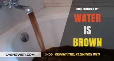 Is It Safe to Shower with Brown Water? Find Out Here