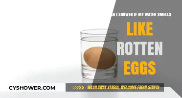 Rotten Egg Smell in Water: Safe to Shower or Health Risk?