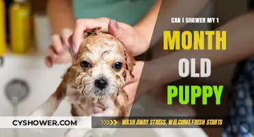 Showering Your 1-Month-Old Puppy: Safe Practices and Gentle Care Tips