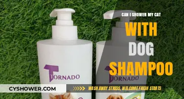 Can You Use Dog Shampoo on Cats? Risks and Alternatives