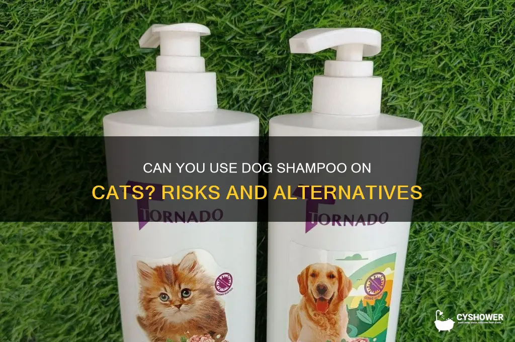 can i shower my cat with dog shampoo