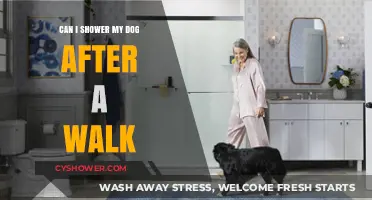 Post-Walk Dog Shower: When and How to Clean Your Pup