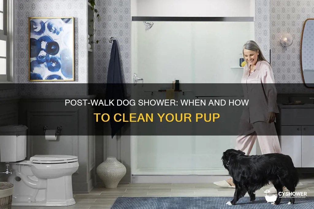 can i shower my dog after a walk
