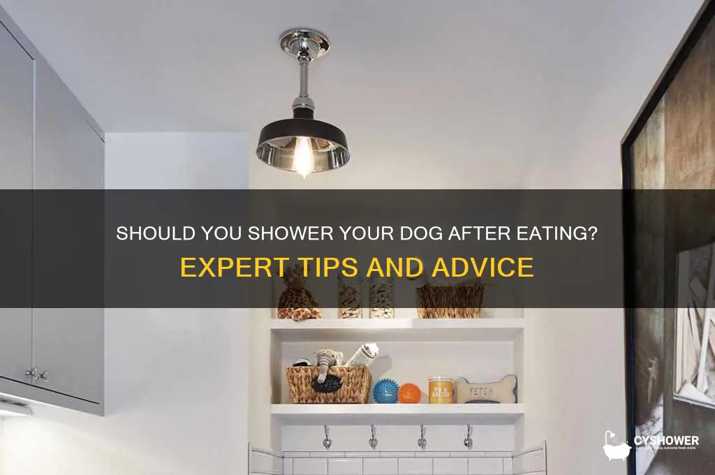 can i shower my dog after eating