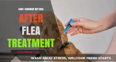 Post-Flea Treatment Dog Care: When Can You Safely Shower Your Pet?