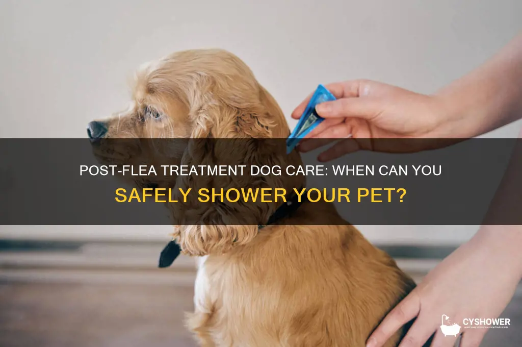 can i shower my dog after flea treatment