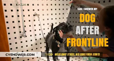 Showering Your Dog After Frontline: Safe Practices and Timing Tips