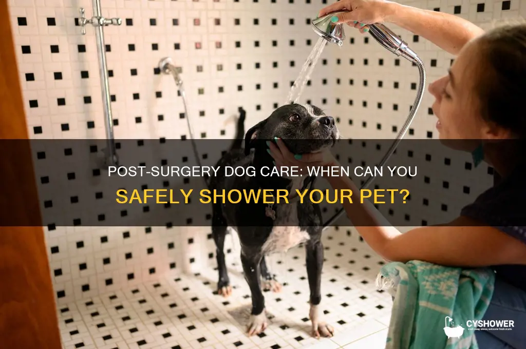 can i shower my dog after surgery
