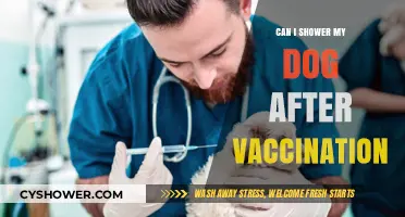 Post-Vaccination Dog Care: When Is It Safe to Shower Your Pup?