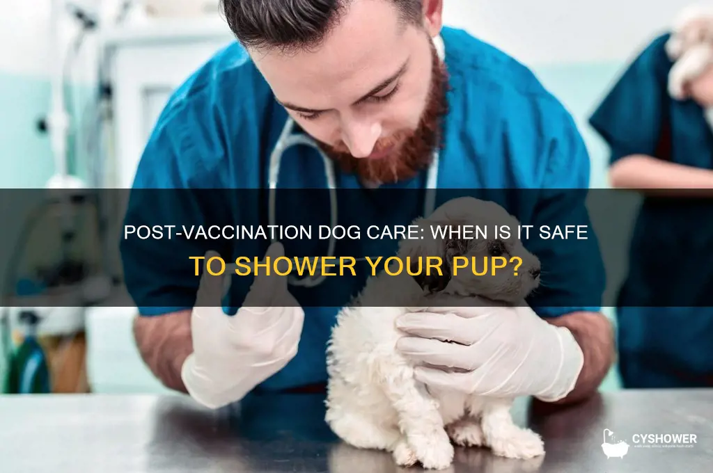 can i shower my dog after vaccination