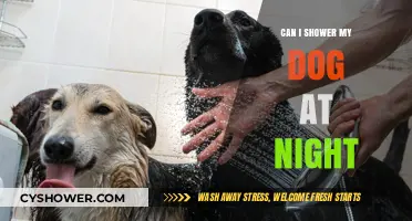 Is Showering Your Dog at Night Safe or Stressful?