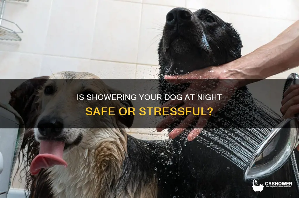 can i shower my dog at night