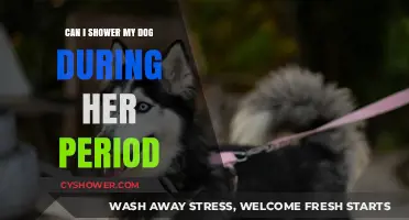 Showering Your Dog During Her Heat Cycle: What You Need to Know