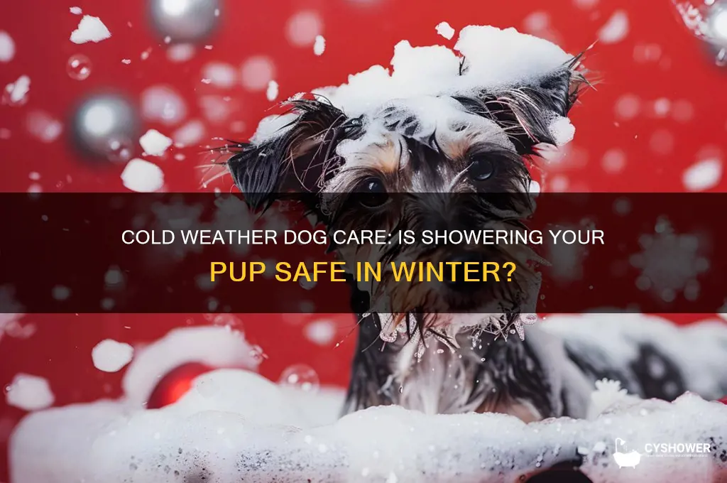 can i shower my dog when it