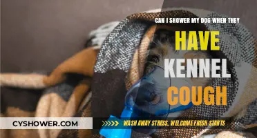 Showering Your Dog with Kennel Cough: Safe Practices and Precautions
