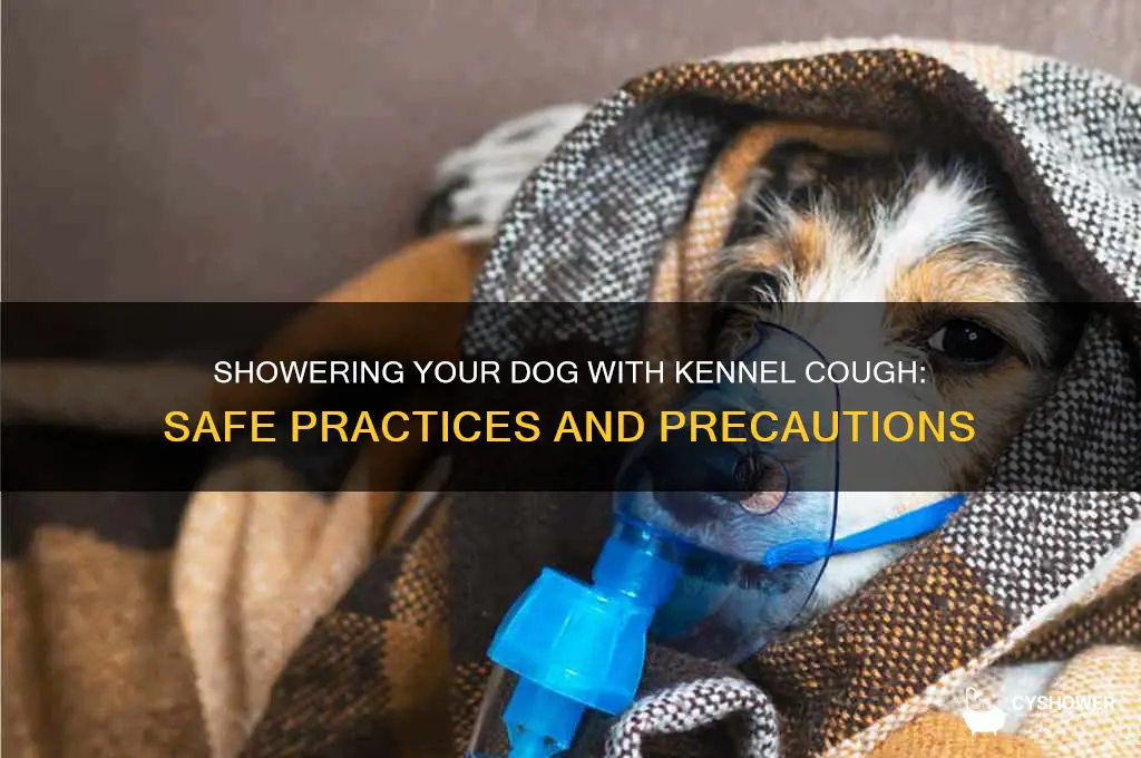 can i shower my dog when they have kennel cough