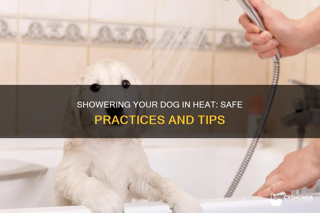 can i shower my dog while in heat