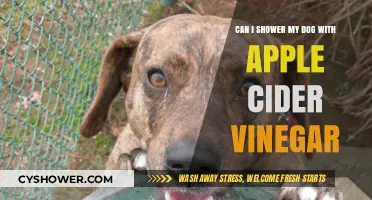 Showering Your Dog with Apple Cider Vinegar: Benefits and Tips