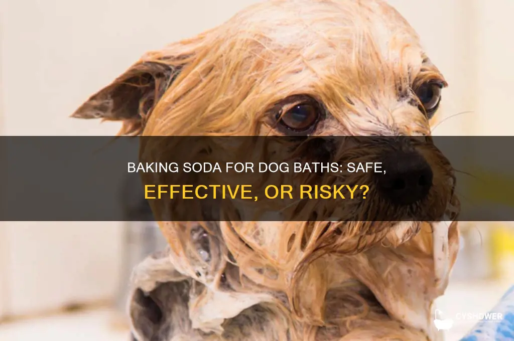 can i shower my dog with baking soda