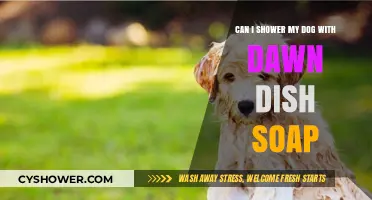 Is Dawn Dish Soap Safe for Bathing Your Dog?