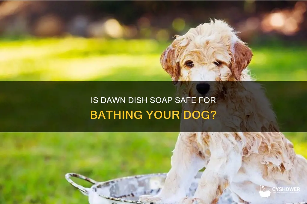 can i shower my dog with dawn dish soap