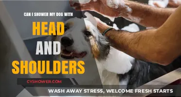 Is Head and Shoulders Safe for Dog Baths? Expert Tips