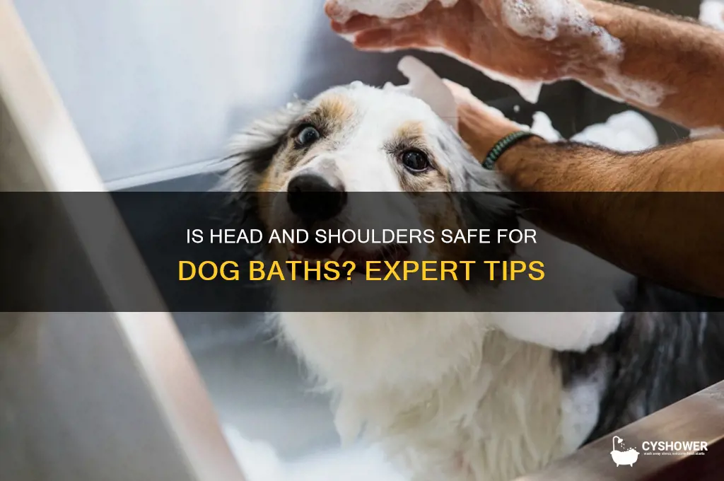 can i shower my dog with head and shoulders