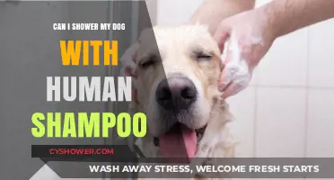 Human Shampoo for Dogs: Safe or Harmful? Expert Advice